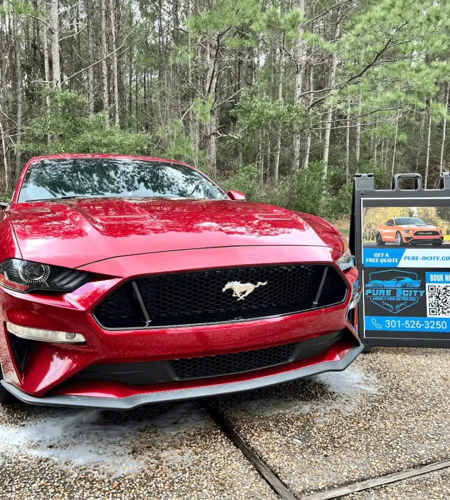 mustang exterior car detail
